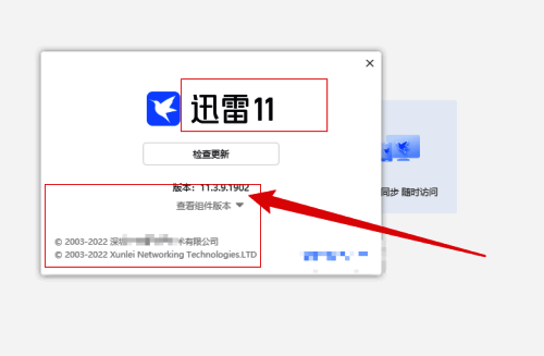显示关于迅雷相关信息的窗口