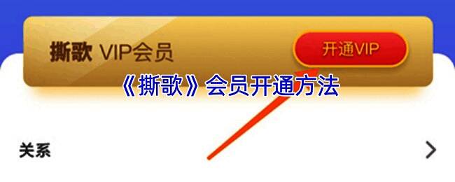 撕歌 APP 会员相关页面示例图1