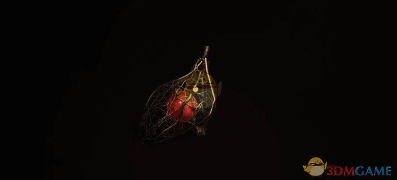 荣枯种子相关画面