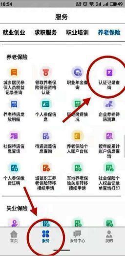 认证记录查询模块入口界面图