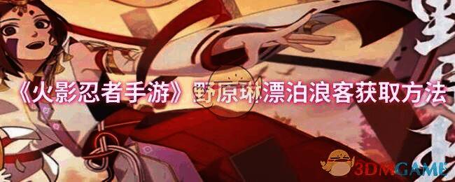 野原琳漂泊浪客相关图片1