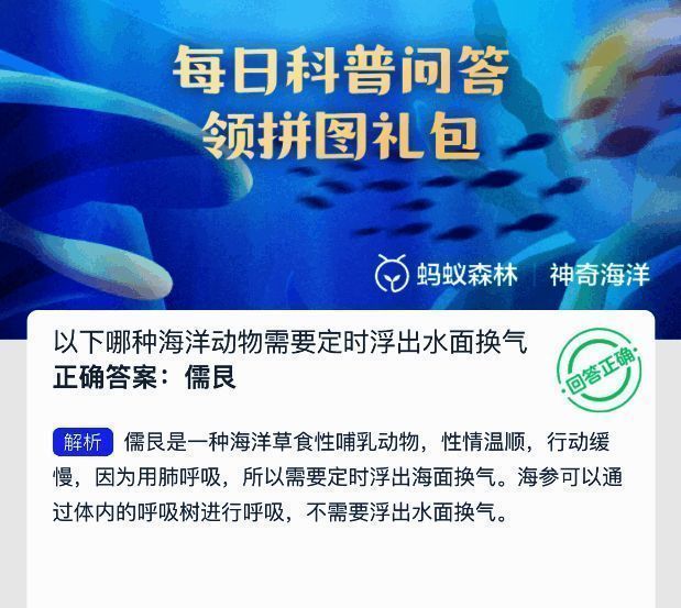 神奇海洋相关图片2