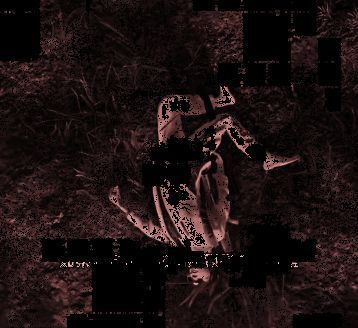 游戏中枪手离奇倒地画面动图