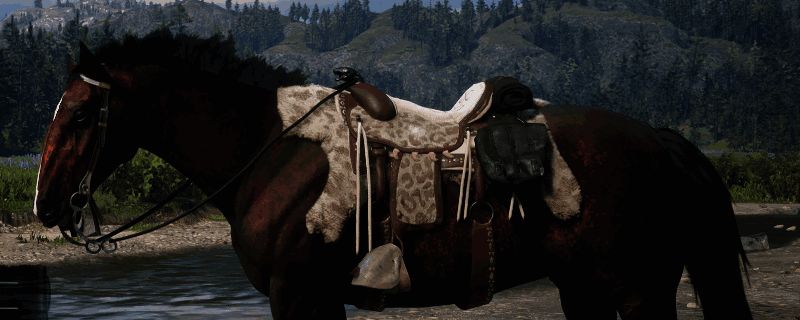 荒野大镖客2匈牙利混血马相关图片1