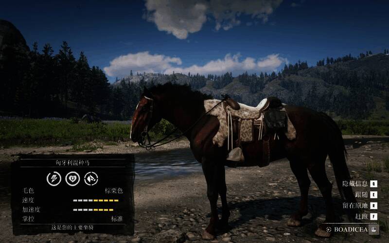 荒野大镖客2匈牙利混血马相关图片2