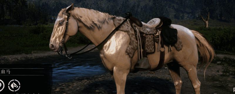 荒野大镖客2荷兰温血马相关图片1
