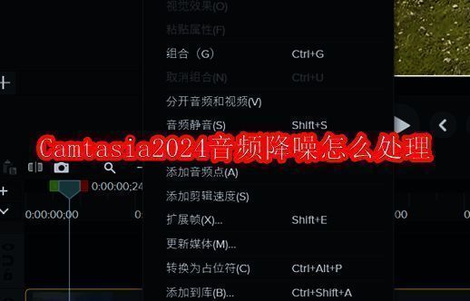Camtasia2024音频降噪相关示例图1