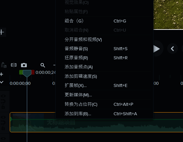 Camtasia2024分离音频和视频画面示例图