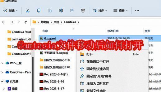 Camtasia软件相关示例图