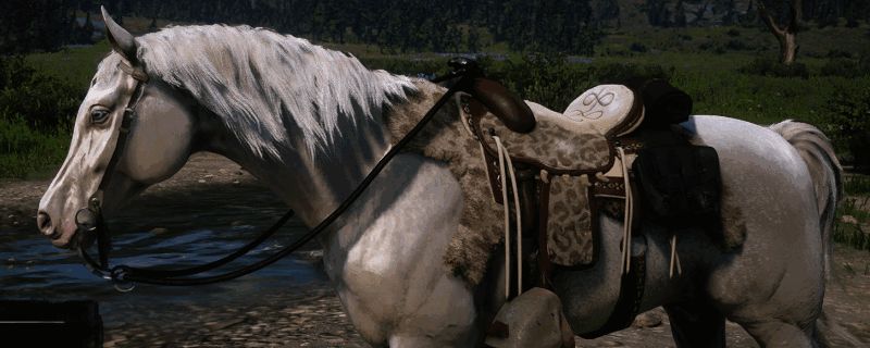 荒野大镖客2阿拉伯马图片1