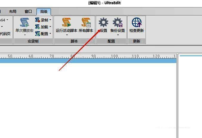 UltraEdit高级界面设置选项图片