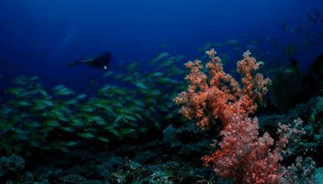 素材导入覆叠轨的相关图片