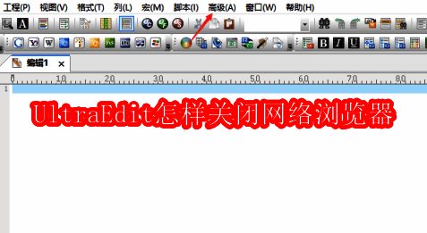 UltraEdit界面相关图片