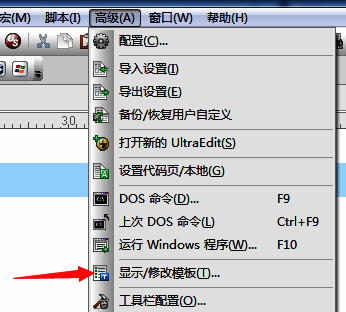 选中显示/修改模板选项的界面
