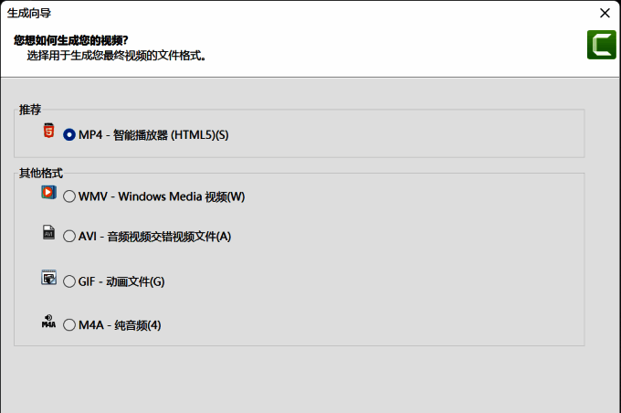 Camtasia导出视频格式选择配图
