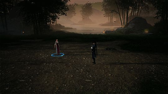 昆仑派雨打飞花招式展示图