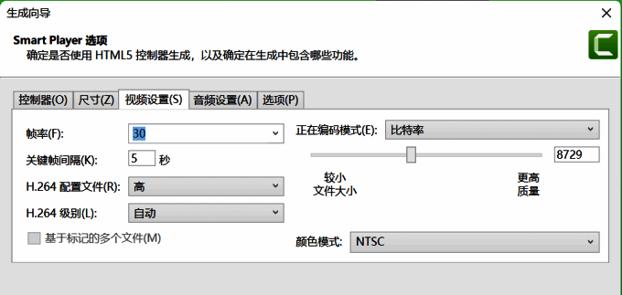 Camtasia视频设置图片