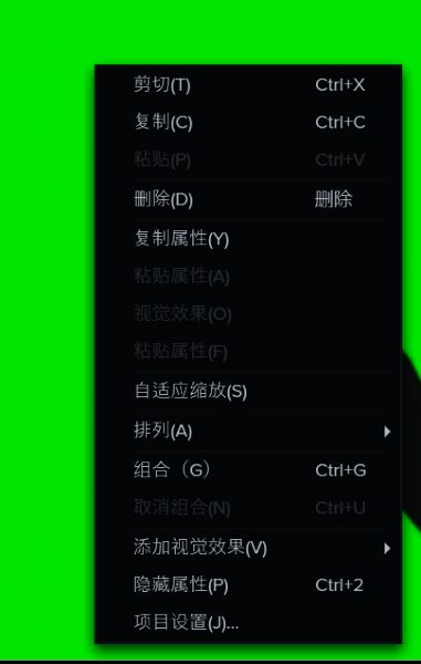 选择项目设置的操作界面