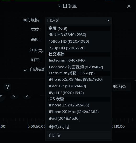 项目设置中调整画布规格的界面