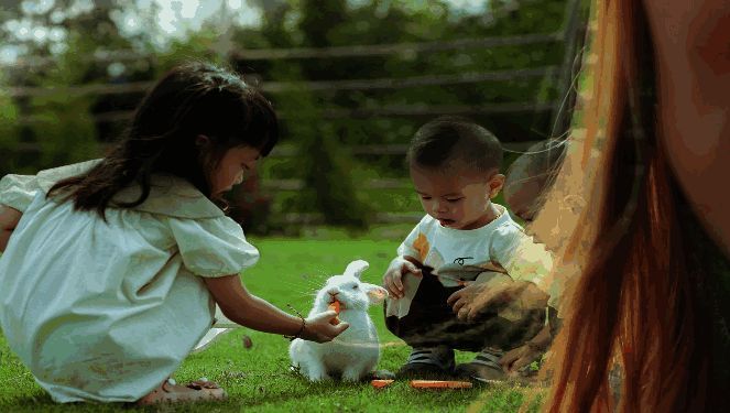 素材融合效果展示图