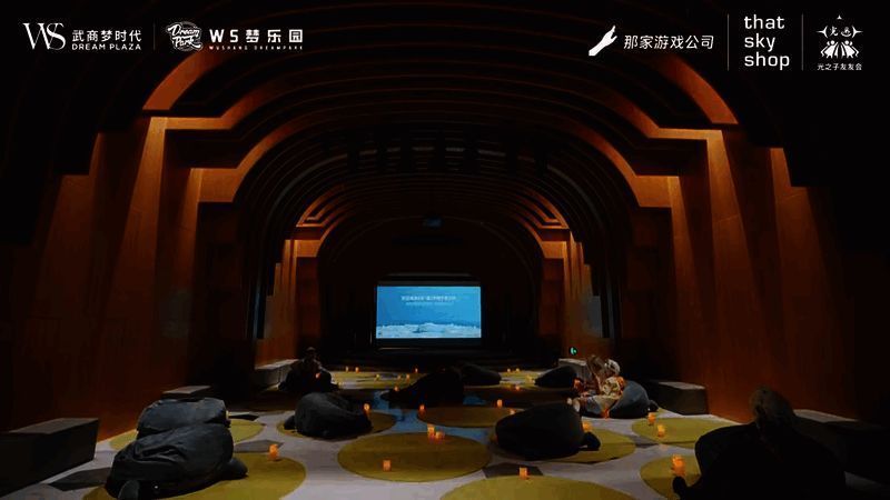 光之子巡游欢聚图片