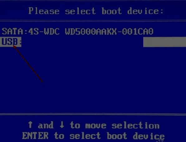 选择启动设备界面