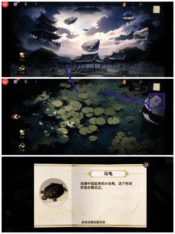 用渔网捞乌龟图片