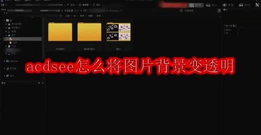 ACDsee相关界面图片1