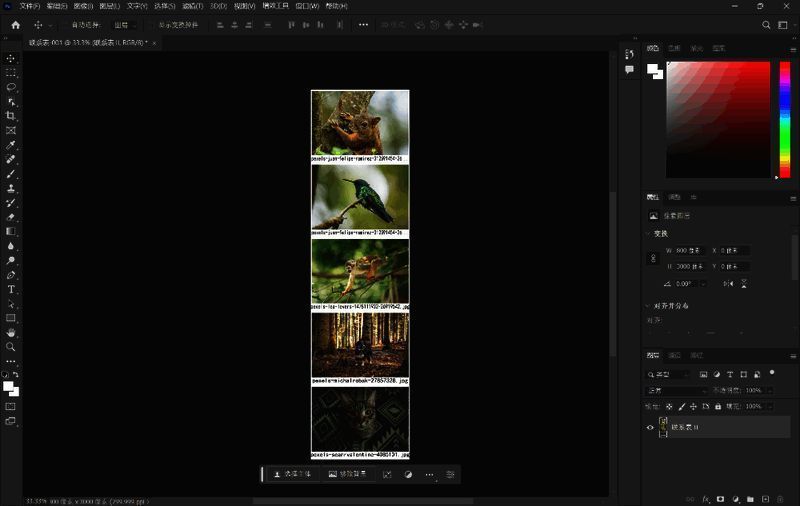 拼接完成的长图效果图片