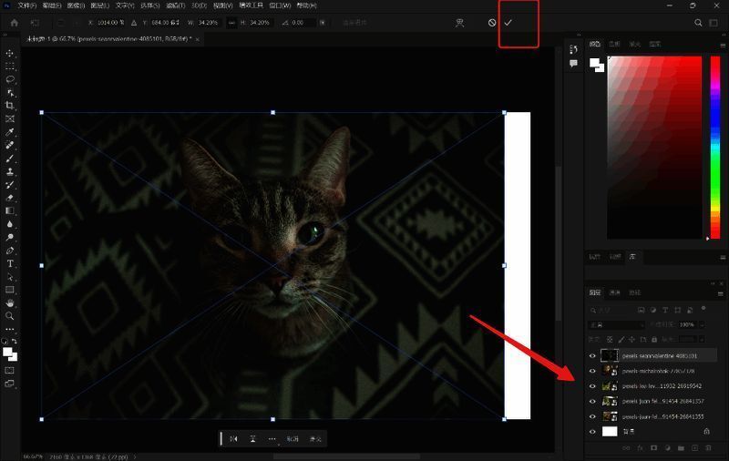 使用变换工具调整图片尺寸的界面