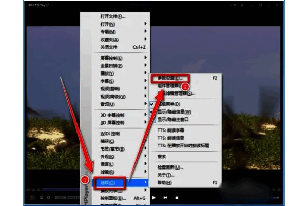 kmplayer plus选项和参数设置界面图片