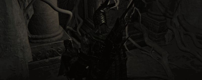 艾尔登法环黑夜君临游戏截图