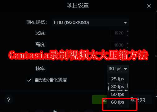 Camtasia视频压缩相关示例图1