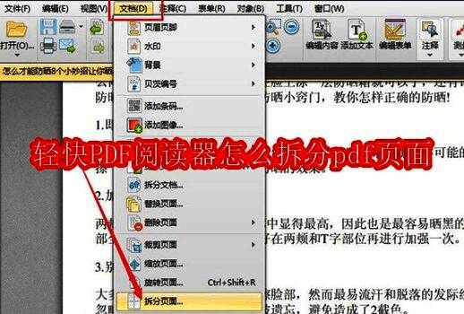 轻快PDF阅读器界面示例图