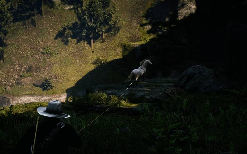 用套索套住安达卢西亚马