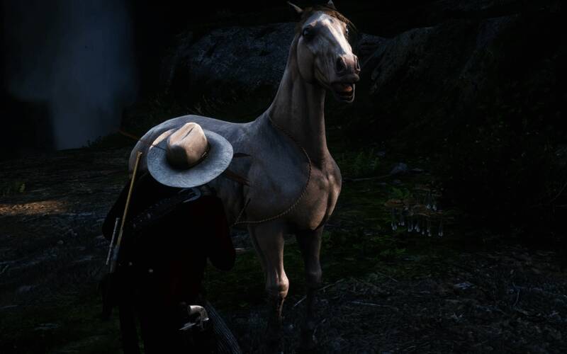 安抚安达卢西亚马