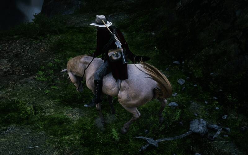 驯服成功后的安达卢西亚马