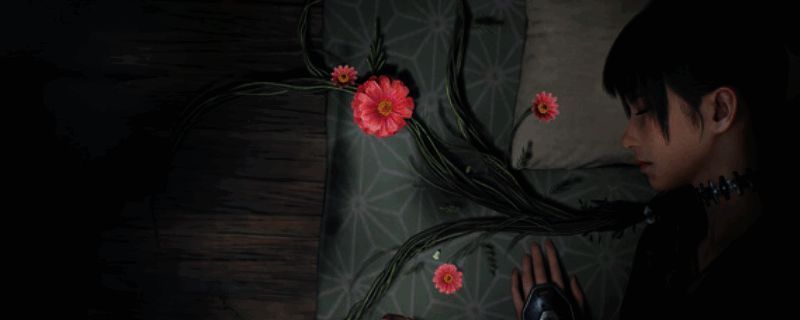 《轮回之兽》相关图片1