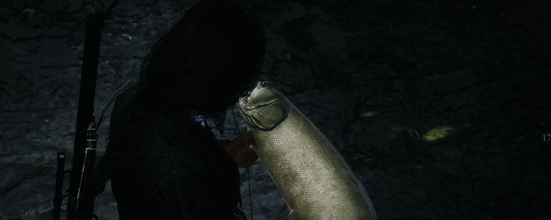 荒野大镖客2钓鱼场景图