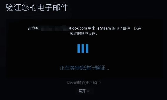 Steam注册信息填写页面