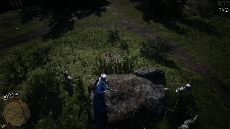 荒野大镖客2武器展示图2