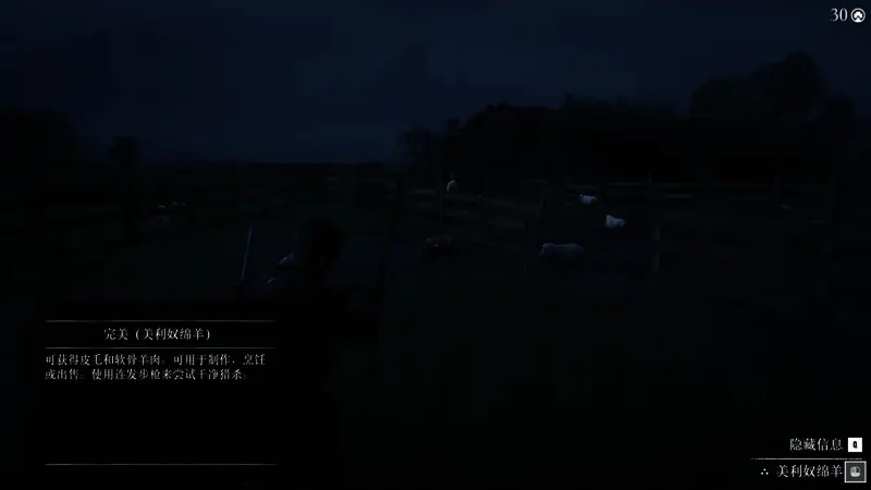 荒野大镖客2武器展示图3