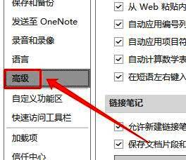 OneNote高级设置页面展示