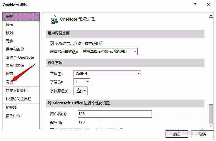 OneNote选项菜单中的高级设置入口