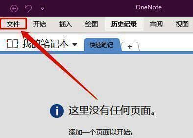 OneNote选项窗口，左侧导航栏选中高级选项