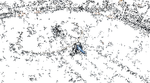 沧澜召唤麒麟对周围敌人造成范围伤害