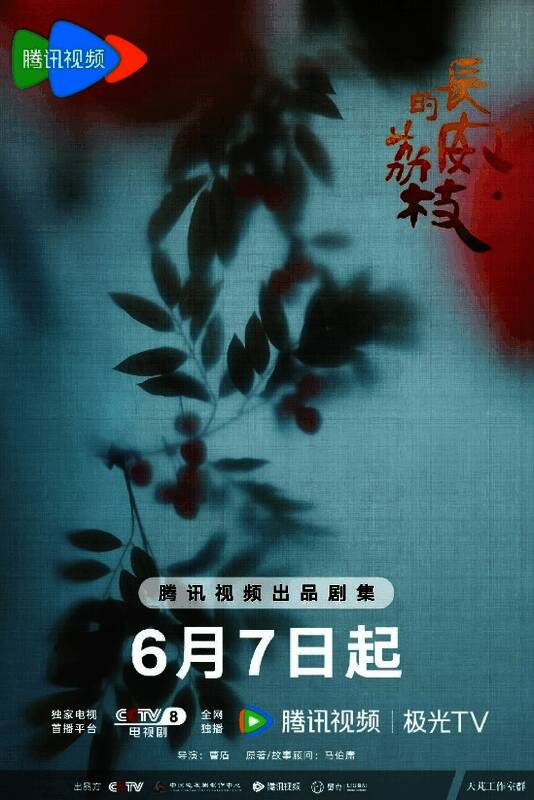 电视剧《长安的荔枝》宣传海报，展现唐代人物风采