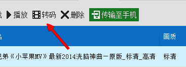 转码选项界面截图，显示选中视频后的转码按钮