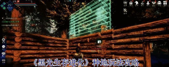 《黑光生存进化》农作物种植场景,阳光洒落在整齐排列的田地中