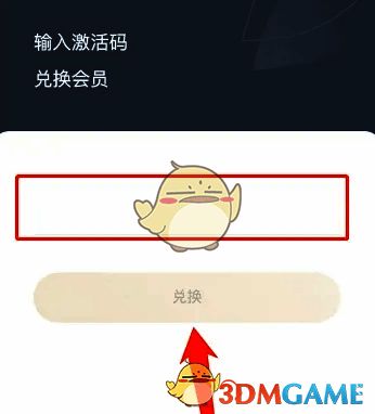 激活码输入界面简洁明了,用户可快速完成兑换流程